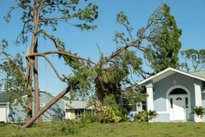 Storm and wind damage restoration